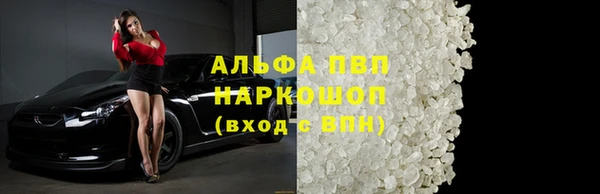 индика Аркадак