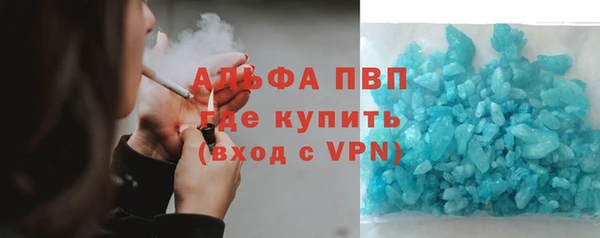 индика Аркадак