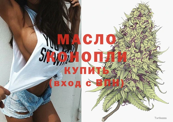 индика Аркадак