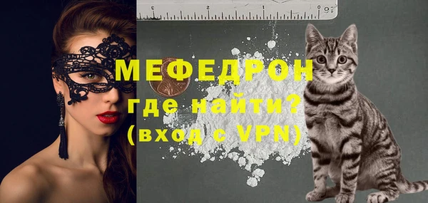 индика Аркадак