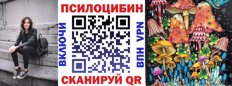Псилоцибиновые грибы Psilocybine cubensis  хочу   блэк спрут как зайти  Туймазы 